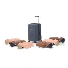 Little Anne Light 6pack donker en blank